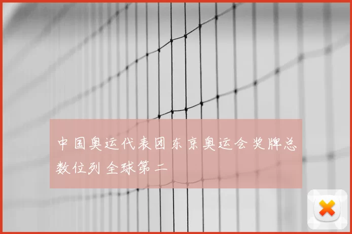 中国奥运代表团东京奥运会奖牌总数位列全球第二