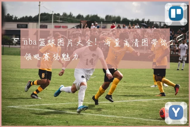 nba篮球图片大全!海量高清图带你领略赛场魅力