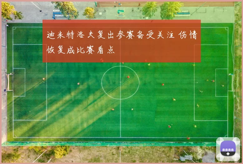 迪米特洛夫复出参赛备受关注 伤情恢复成比赛看点