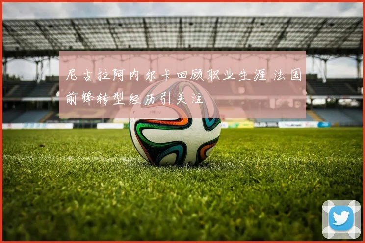 尼古拉阿内尔卡回顾职业生涯 法国前锋转型经历引关注