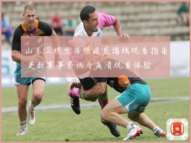 山东卫视生活频道直播线观看指南 更新赛事资讯与高清观看体验